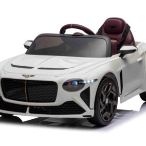 E-Car 8317